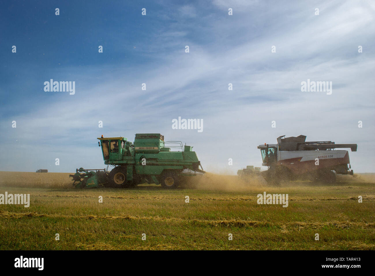 Tambov Region, Tambov region, Russia. 27th May, 2019. Harvesting of wheat in the Tambov region Credit: Demian Stringer/ZUMA Wire/Alamy Live News Stock Photo
