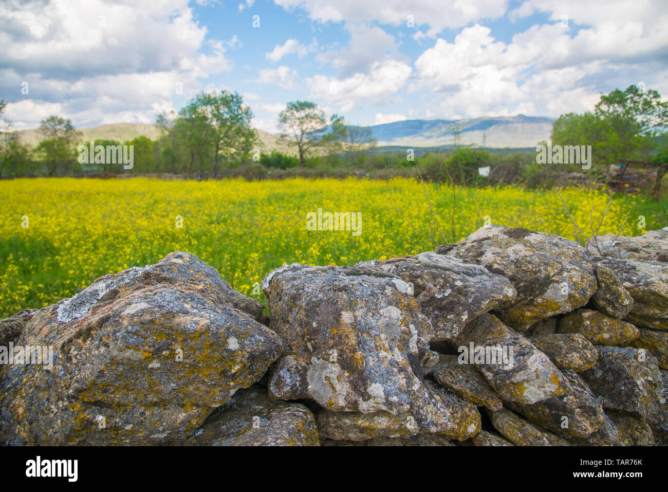 Spring landscape. Sierra del Rincon, Piñuecar, Madrid province, Spain. Stock Photo