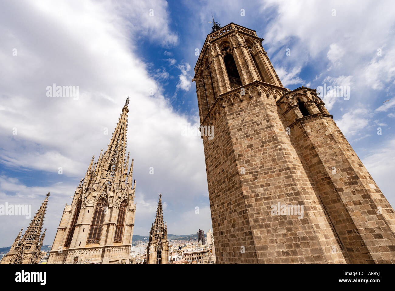 Barcelona, Detail of the gothic Cathedral of the Holy Cross and Saint Eulalia (Catedral de la Santa Cruz y Santa Eulalia) Catalonia, Spain, Europe Stock Photo