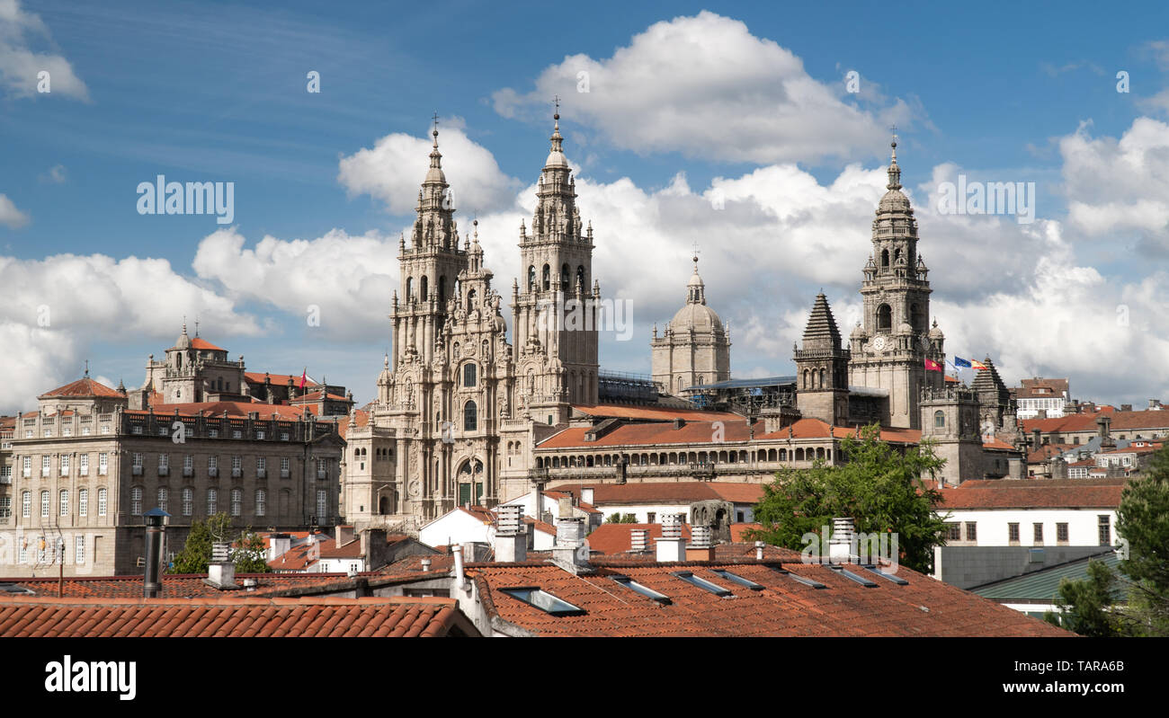 View of the Santiago de Compostela cathedral from Alameda park. Black and white photography. Landmark Stock Photo