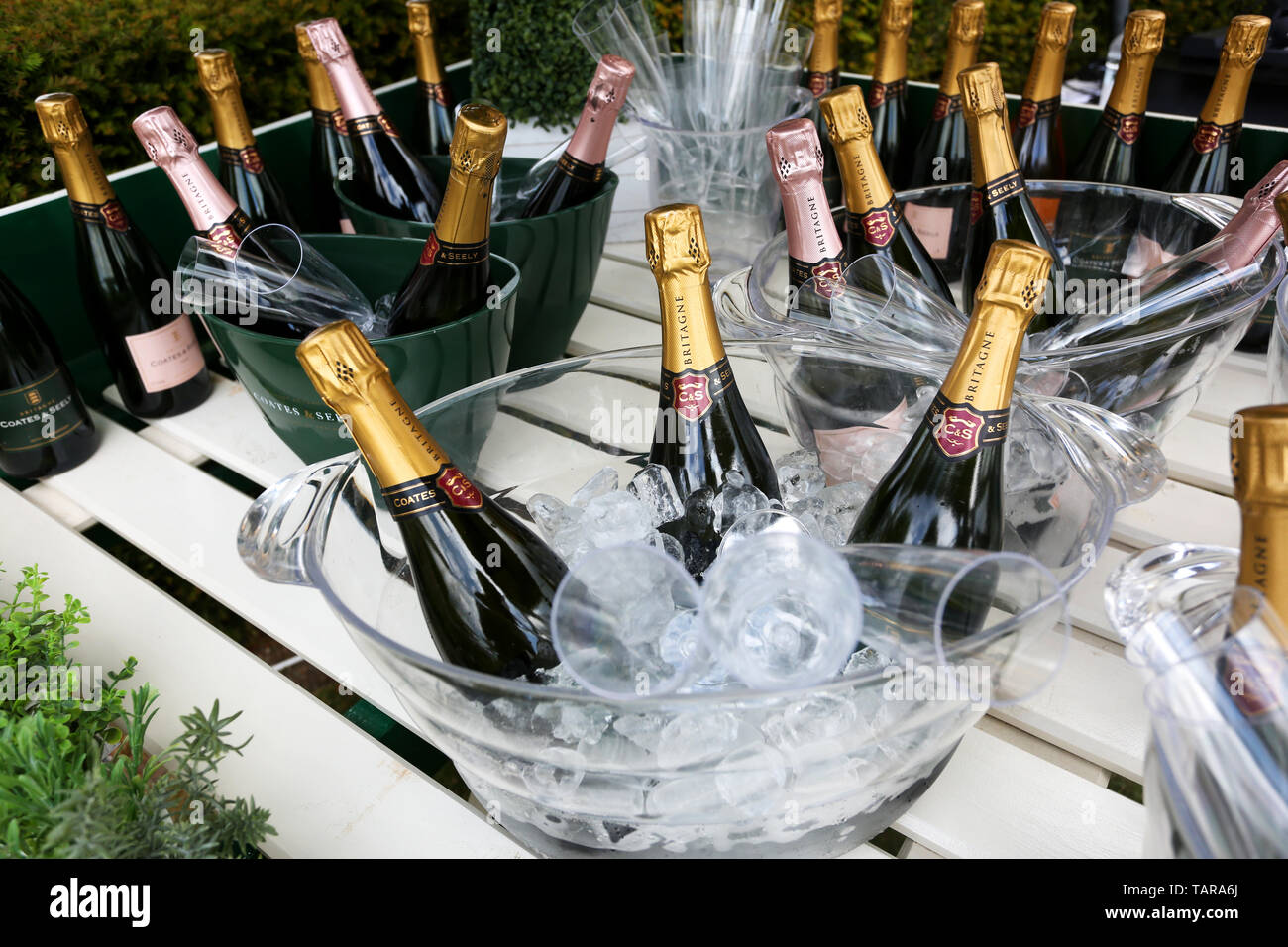 General views of bottles of Coates and Seely Champagne on ice at Goodwood Racecourse, Chichester, West Sussex, UK. Stock Photo