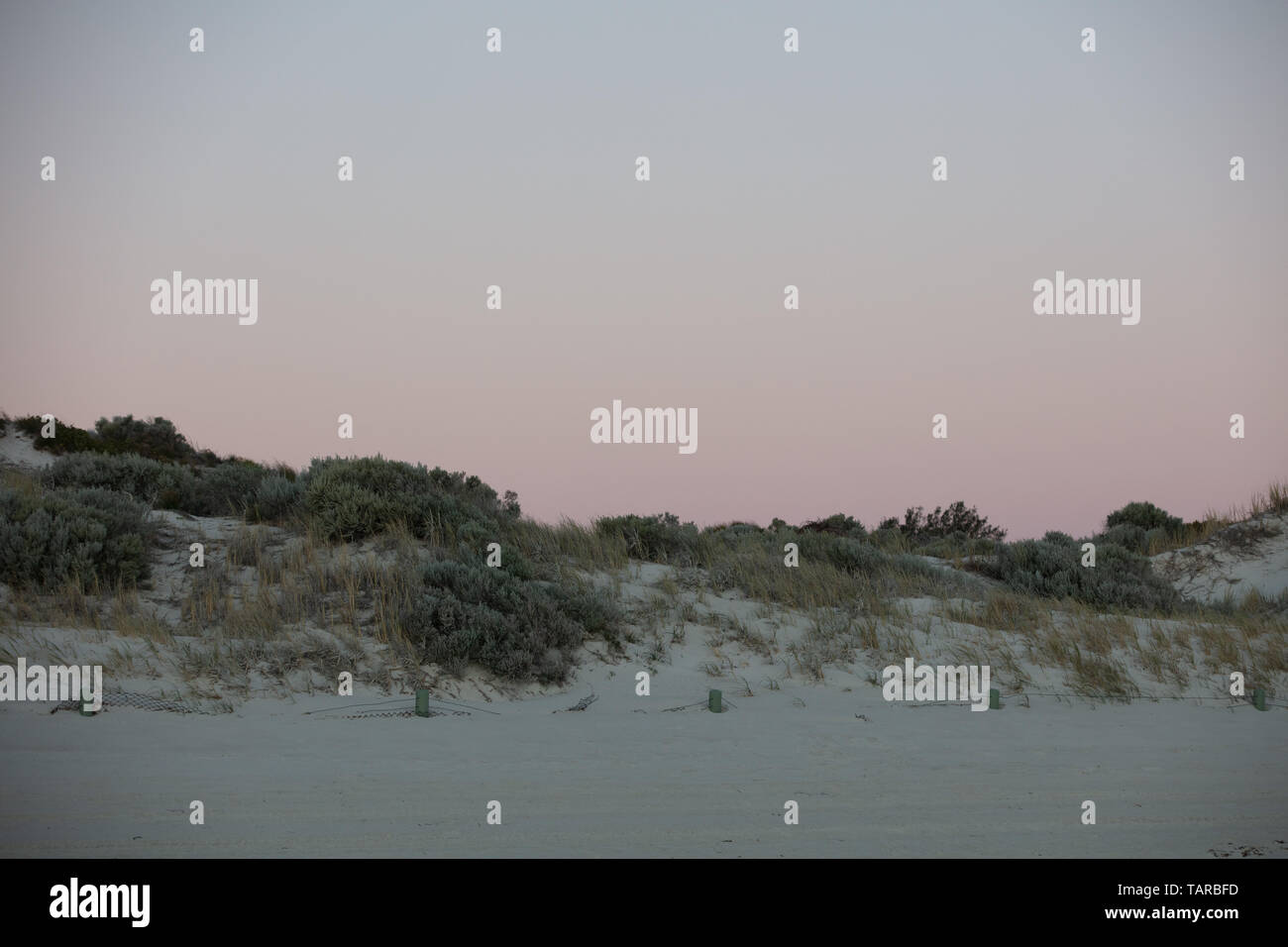 Pink sky over dunes after sunset hires stock photography and images Alamy
