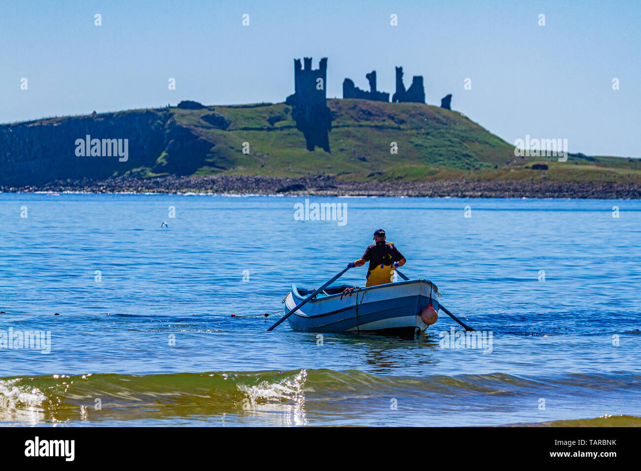 Fisherman rowing a coble, an open traditional fishing boat, off the North East coast at Dunstanburgh, Northumberland, UK. Stock Photo