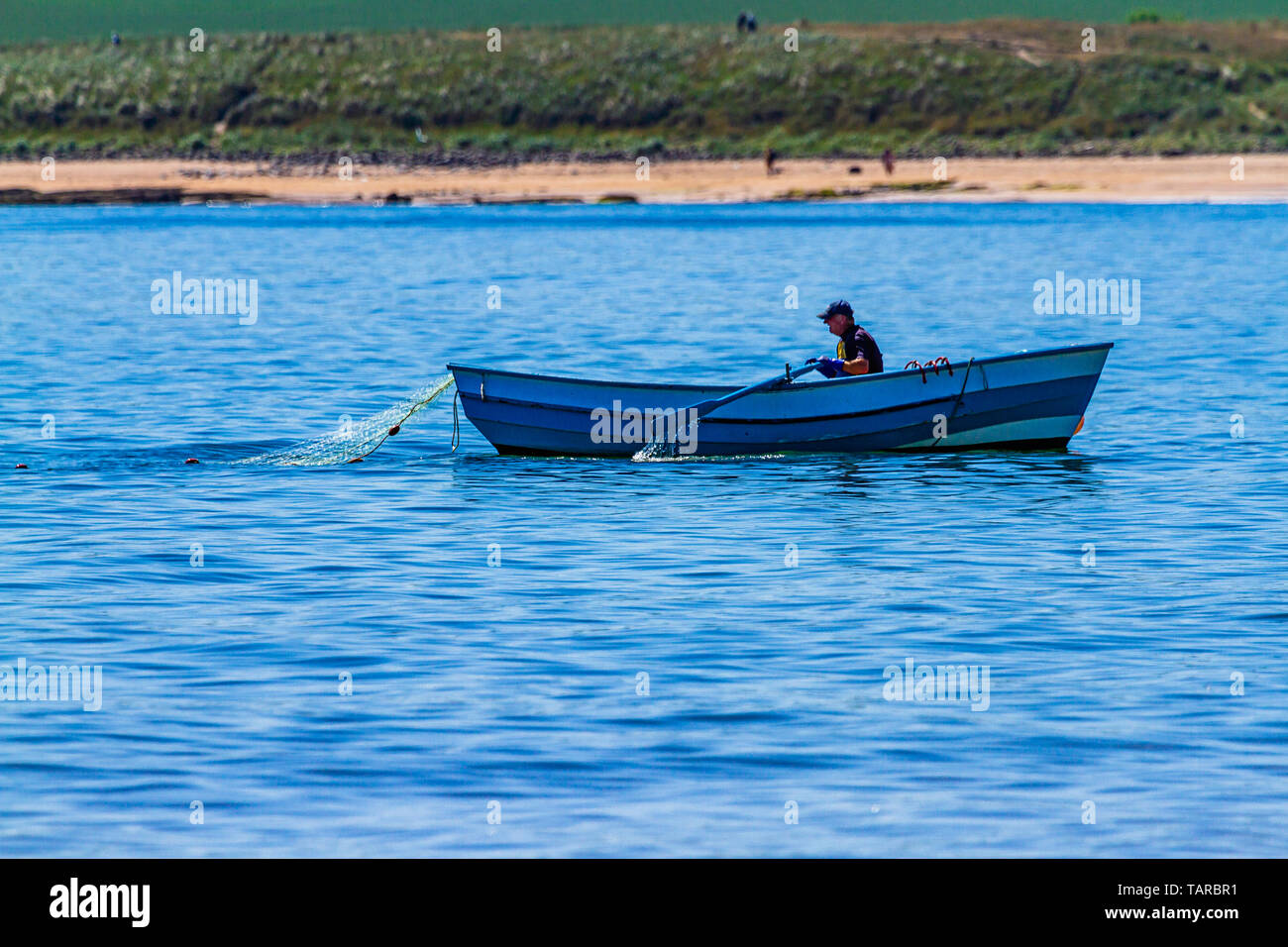 Fisherman rowing a coble, an open traditional fishing boat, while pulling a net, off the North East coast near Embleton, Northumberland, UK. 2018. Stock Photo