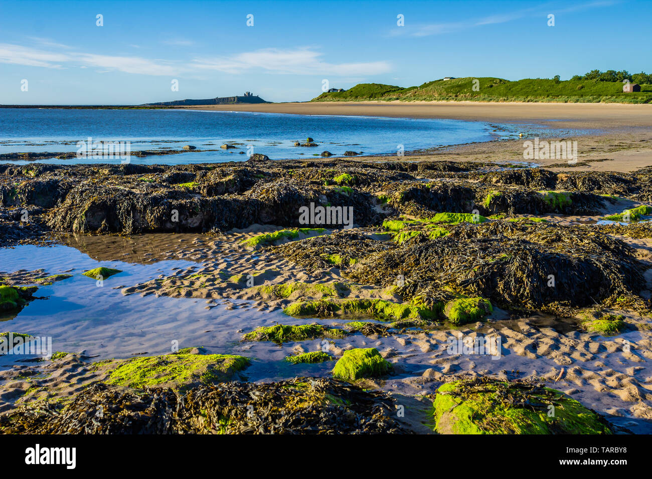 The beach at Low NewtonbytheSea, with rockpools in the foreground