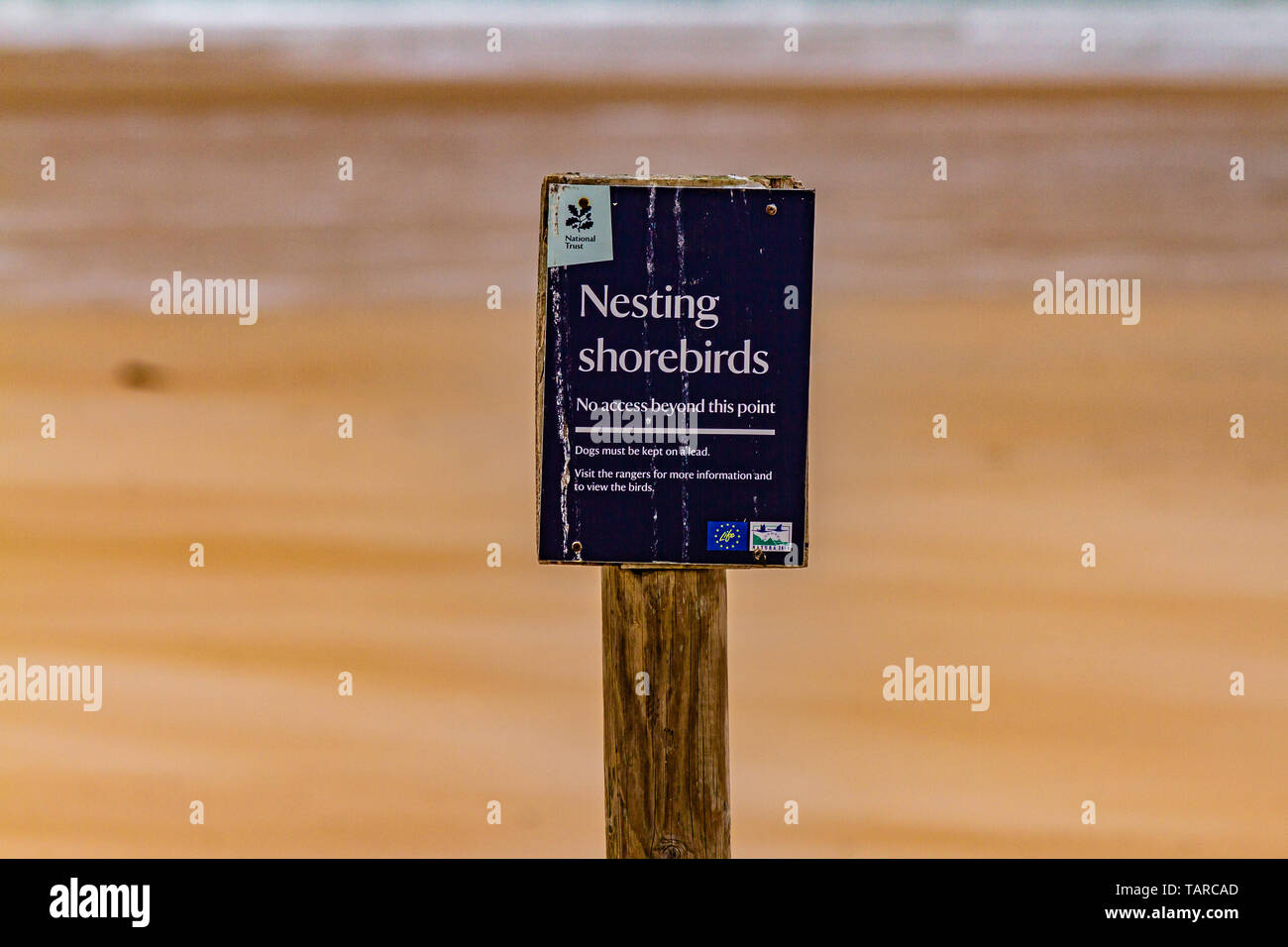 Sign warning walkers of diversion to avoid disturbing Little Terns during nesting and breeding season. Beadnell, Northumberland, UK. June 2018. Stock Photo