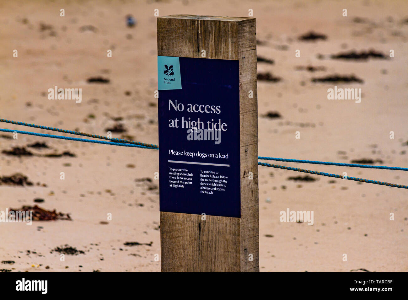 Sign warning walkers of diversion to avoid disturbing Little Terns during nesting and breeding season. Beadnell, Northumberland, UK. June 2018. Stock Photo
