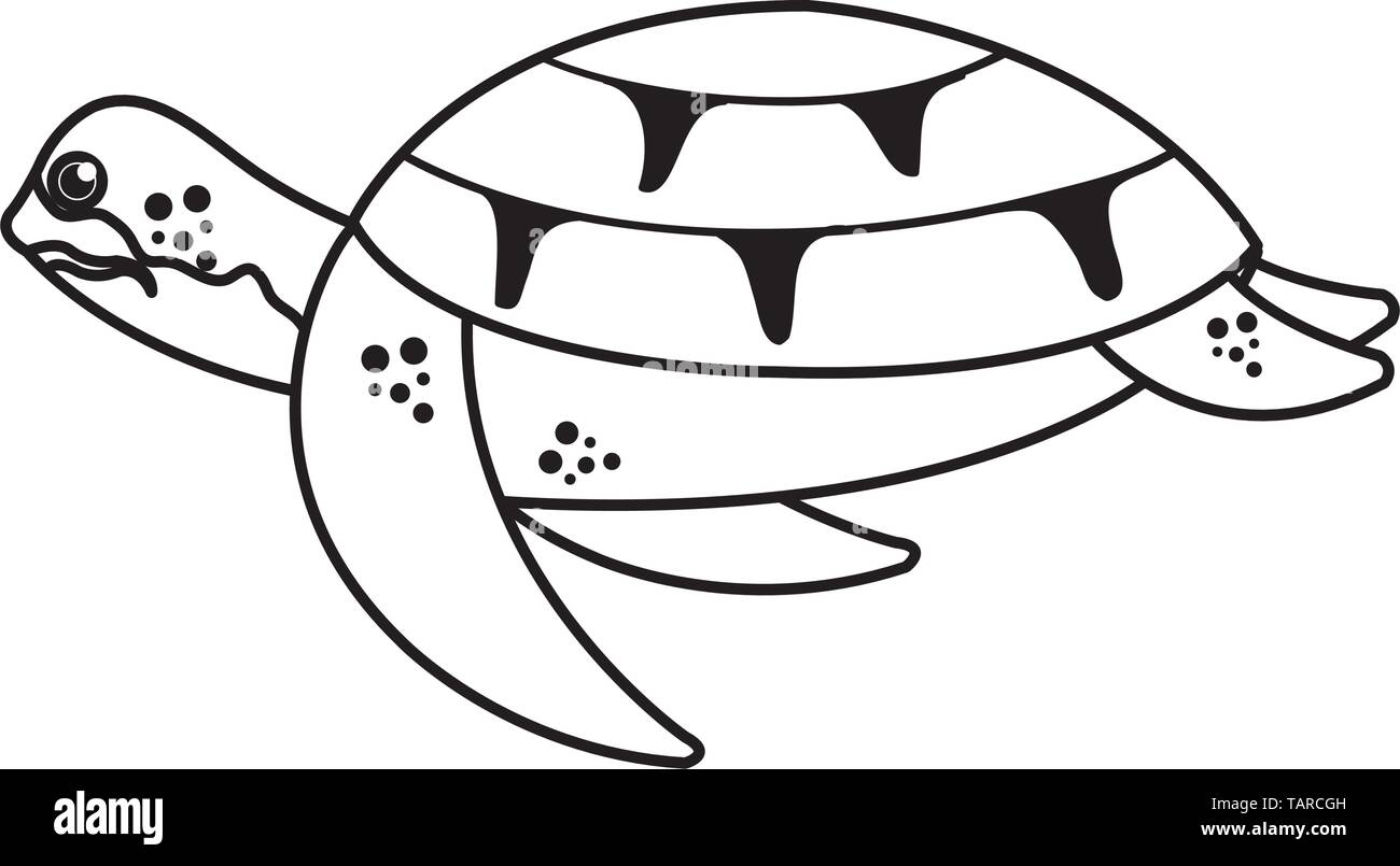 turtle animal nature icon vector illustration Stock Vector Image & Art ...