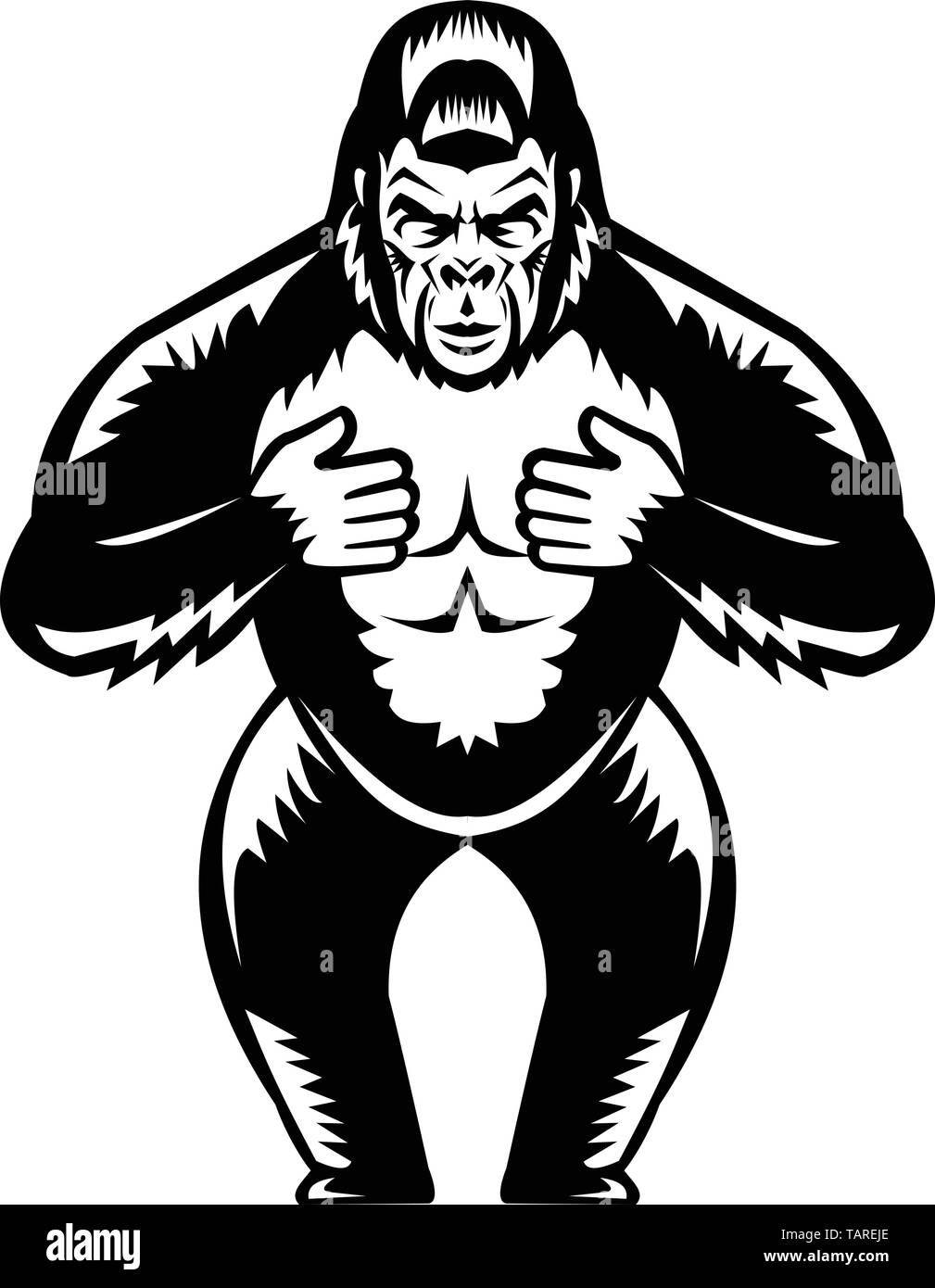 Retro woodcut style illustration of a silverback gorilla  thumping or beating it's chest viewed from front on isolated background done in black and wh Stock Vector