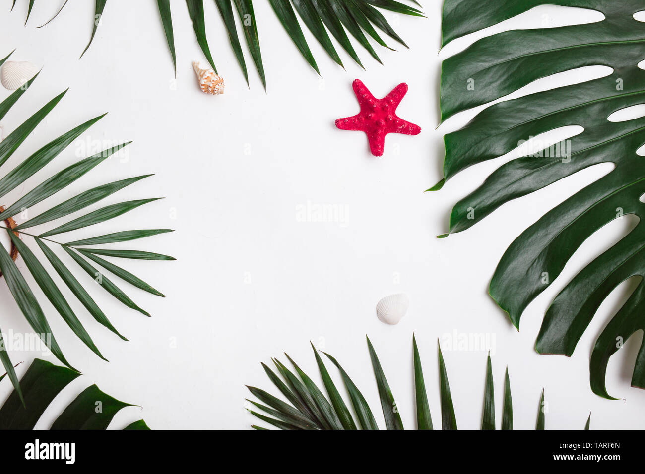 Tropical palm leaves and sea shells on white background. Summer concept ...
