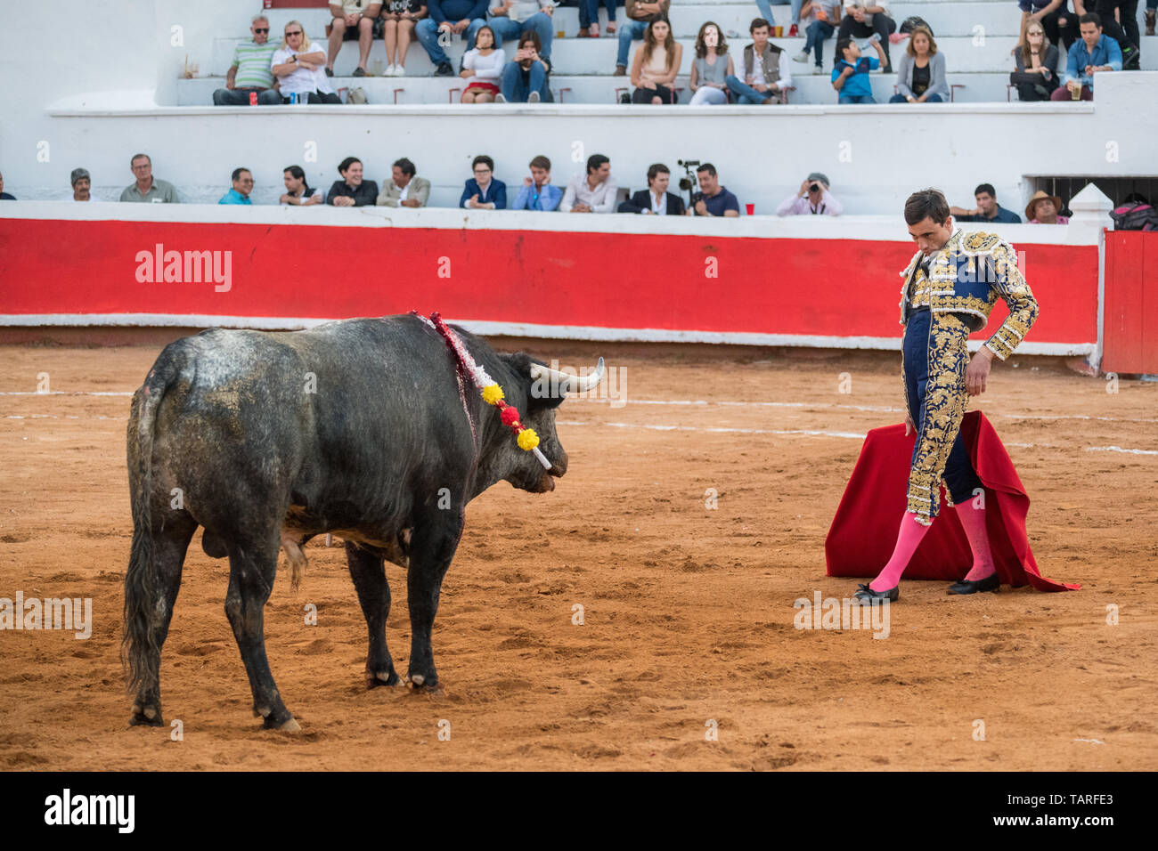 Spanish bullfighter Paco Urena performs with a bull at the Plaza de Toros bullring March 3, 2018 in San Miguel de Allende, Mexico. Stock Photo