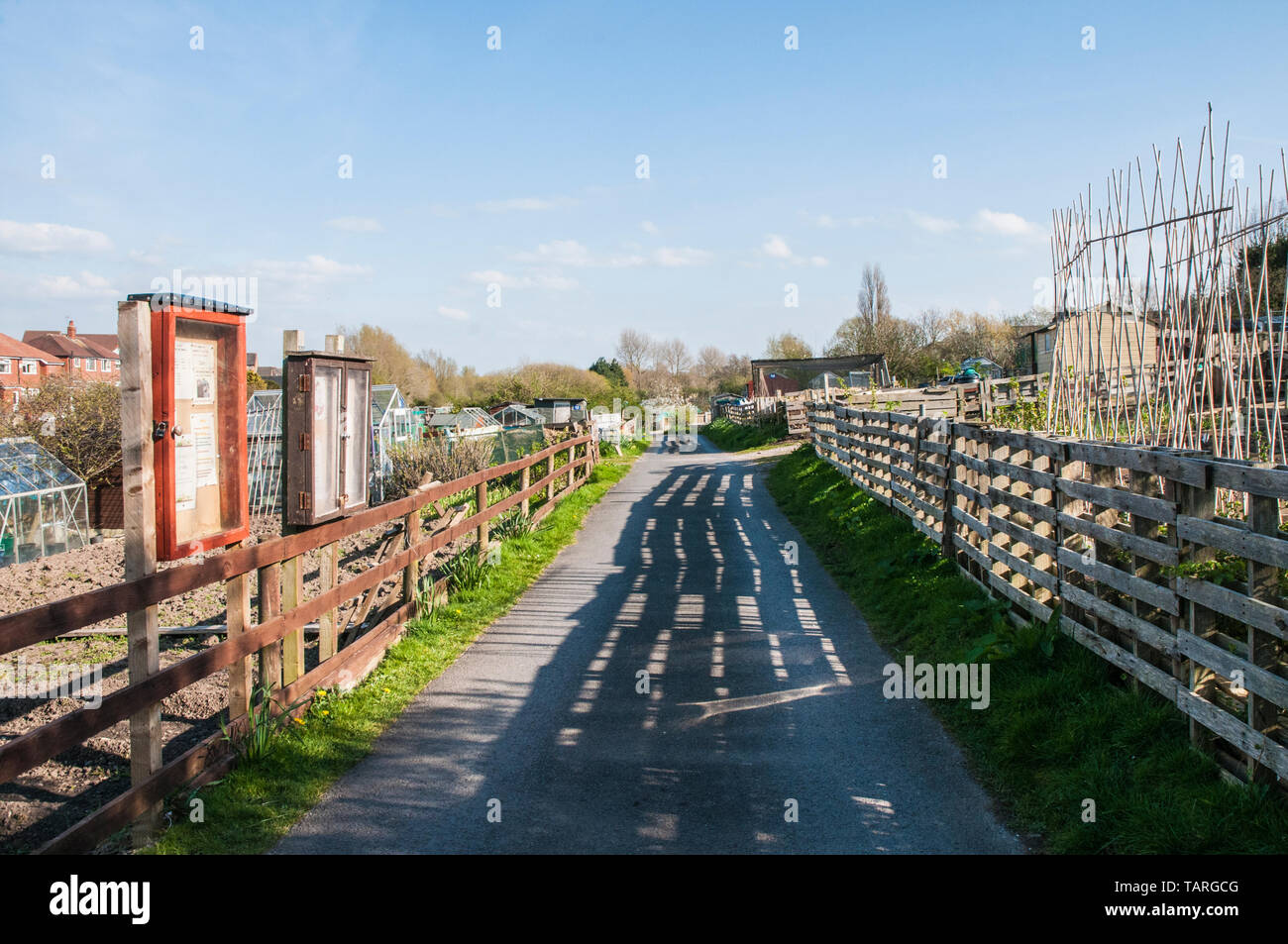 Notice board and tarmec metaled road into allotment site  Shadow being cast onto road through lattice fence on a sunny day Stock Photo
