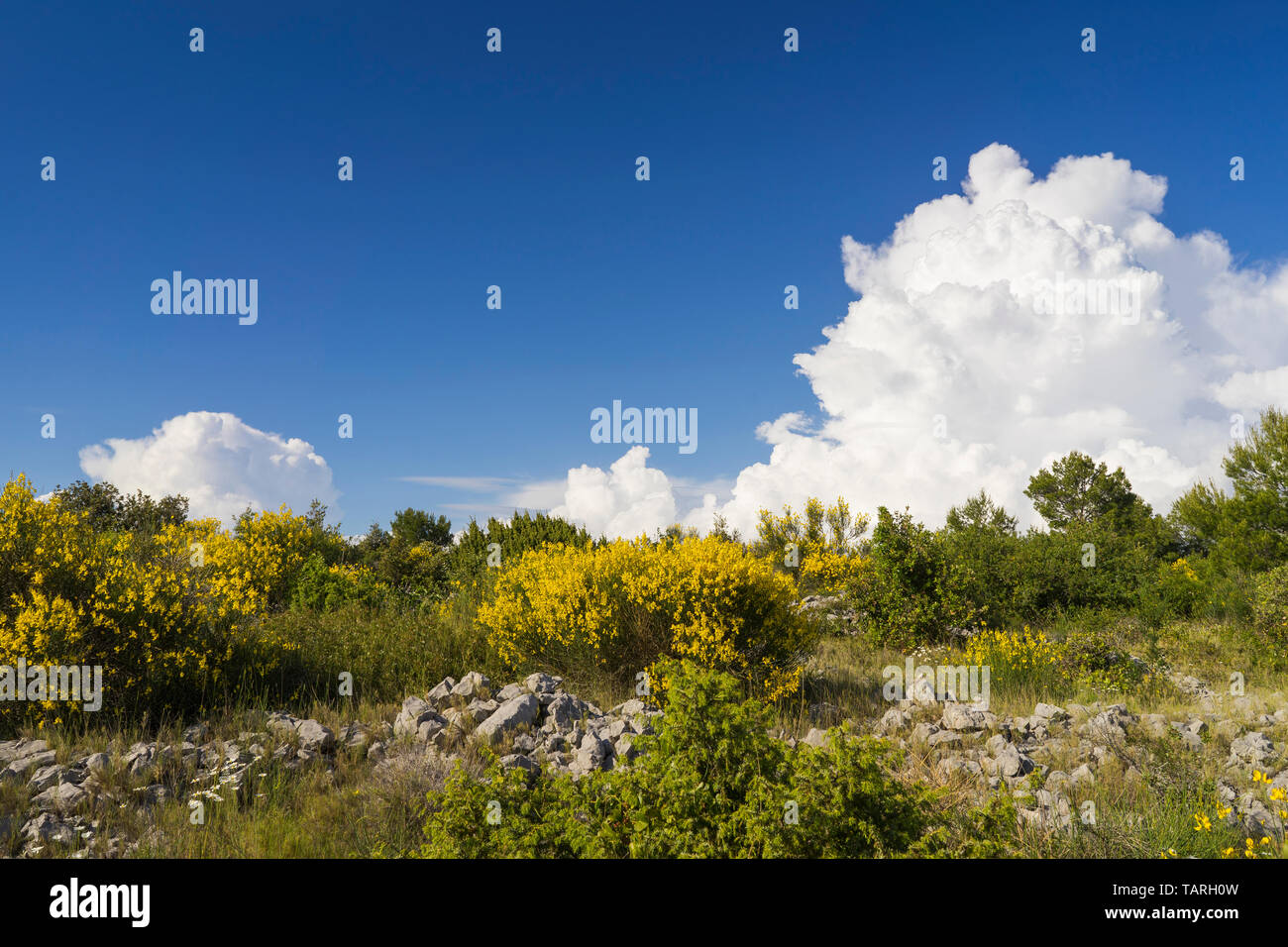 Razanj Croatia Europe. Nature and landscape photo of coastline at Adriatic Sea in Dalmatia. Beautiful outdoors on sunny spring day. Stock Photo