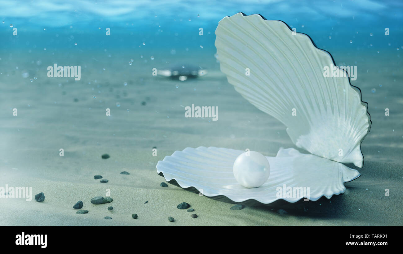 Mother of pearls underwater. Sea shell underwater. Beautiful pearls,  expensive jewelry. Oysters and pearls on the underwater sandy seabed.  Sunlight be Stock Photo - Alamy, image size:1300x821