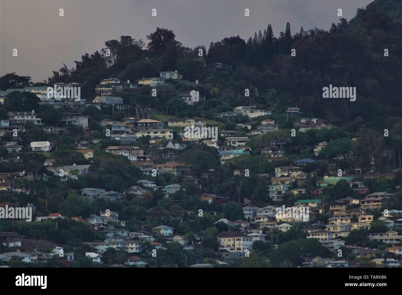 Homes on a crowded hillside in Hawaii Stock Photo