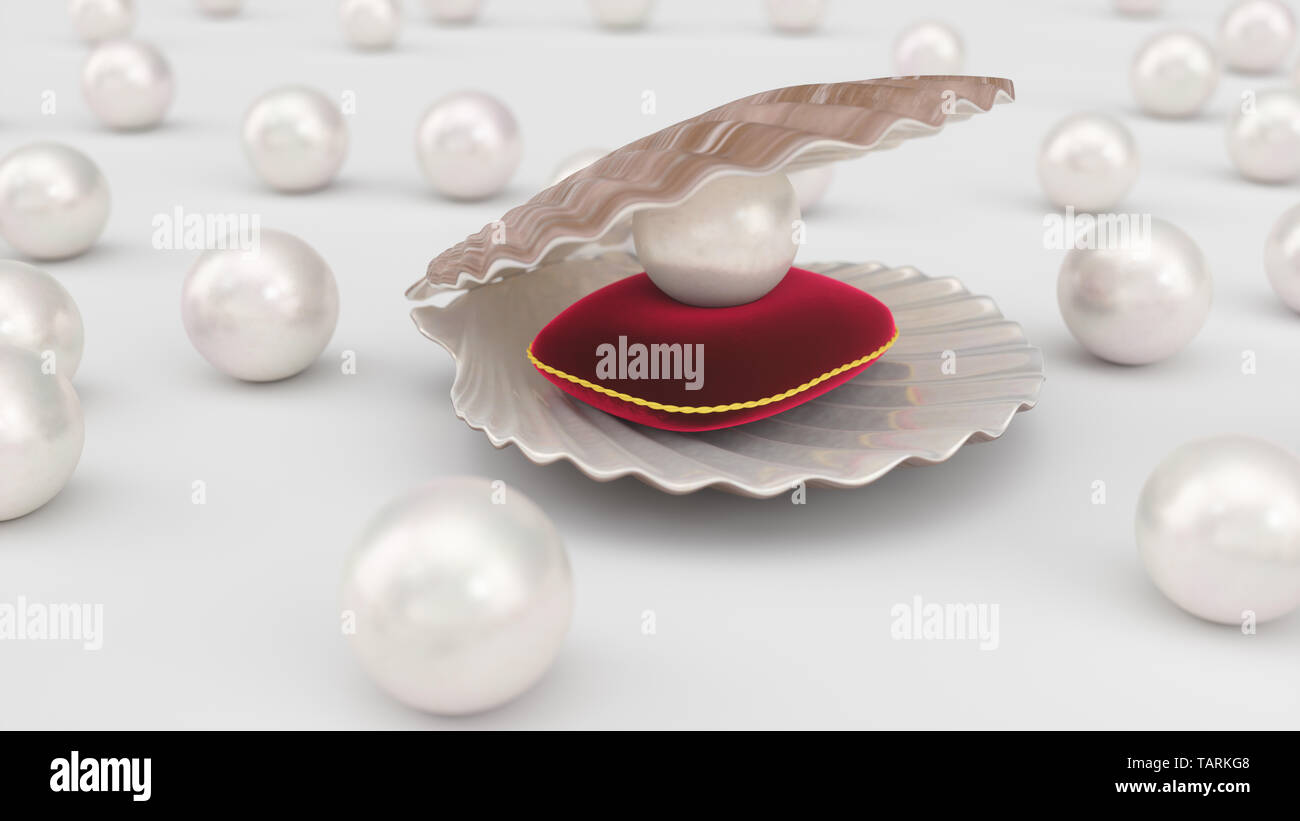 Seashell With Pearls Inside On Red Velvet Pillow Gems Women S