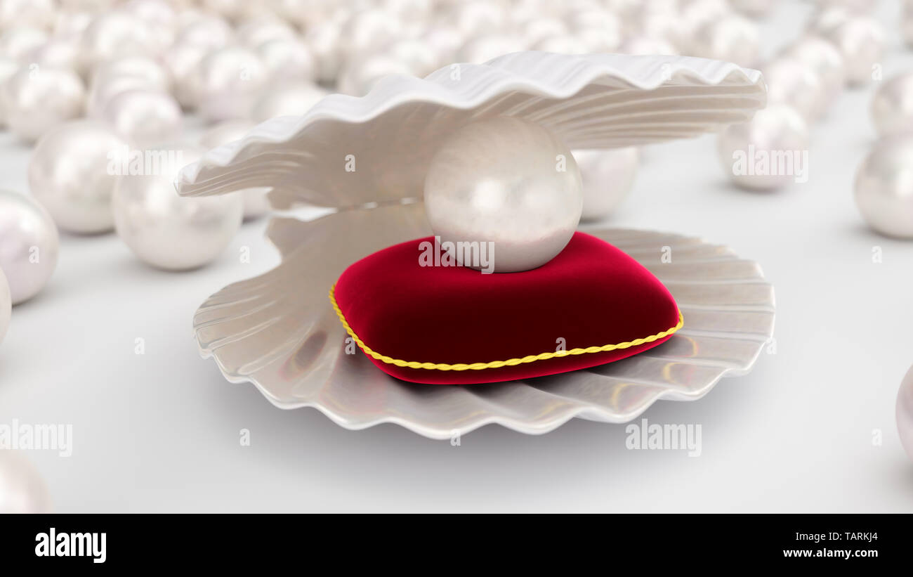 Seashell With Pearls Inside On Red Velvet Pillow Gems Women S