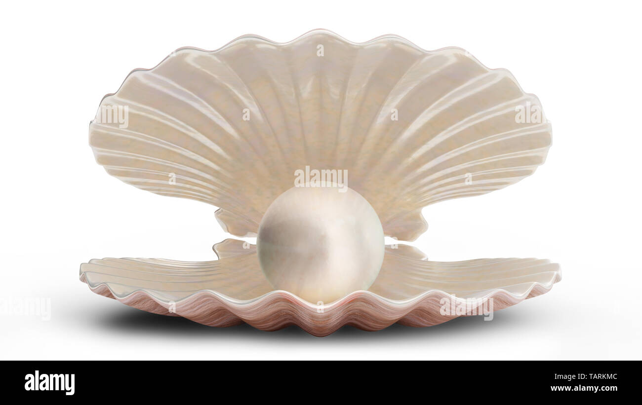 Seashell badge reel-seashell reel- mermaid badge- sea shell - sea shell  gift-badge reel