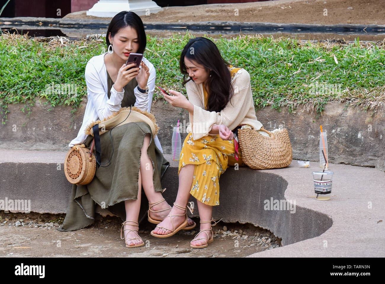 Women using their mobile phones , Chiang Mai Stock Photo