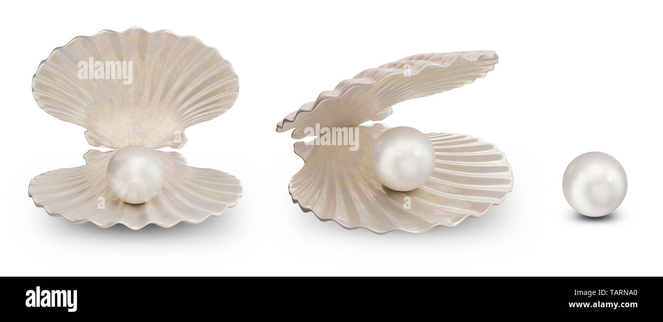 Set of sea shells with pearl inside. Collection gems, women's jewelry, nacre beads. For your banner, poster, logo. Set sea shells, shiny sea pearl iso Stock Photo