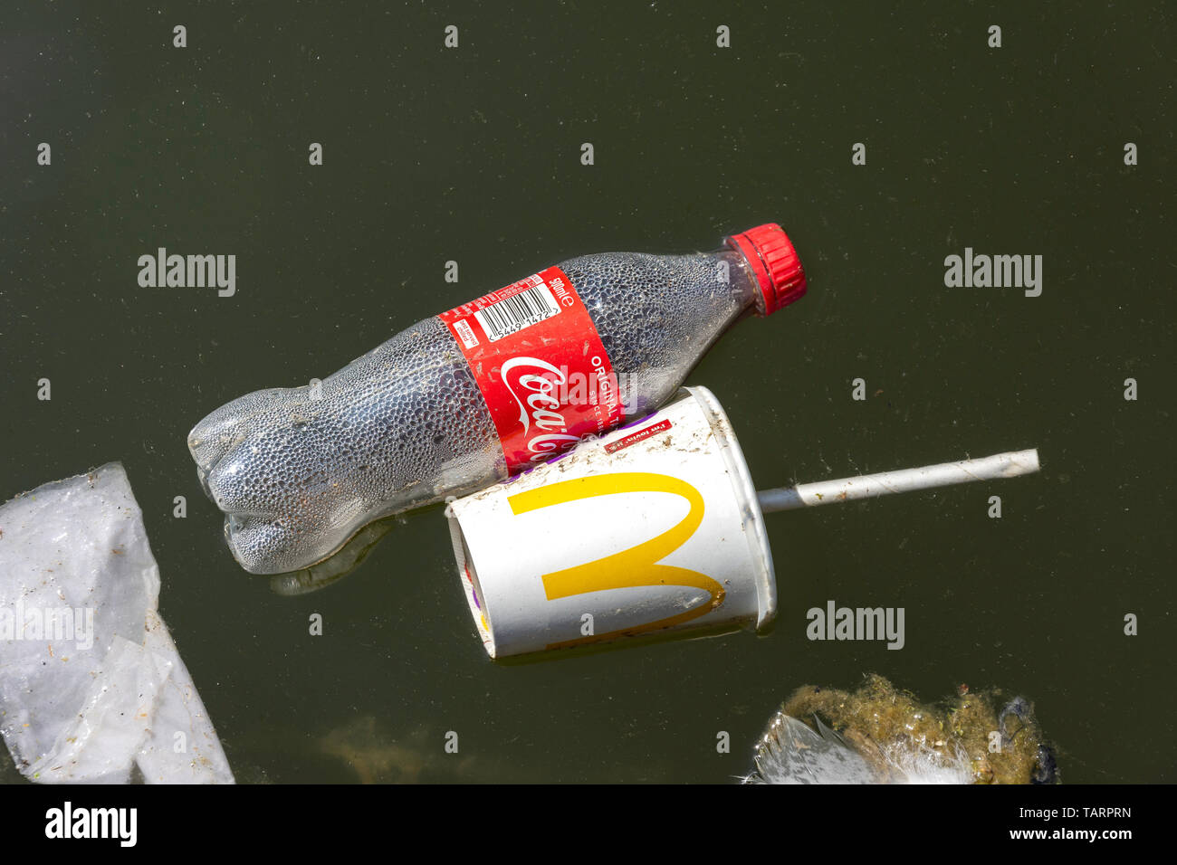 Empty Coca-Cola bottle and McDonalds paper cup floating in Walsall Canal, Walsall, West Midlands, England, United Kingdom Stock Photo