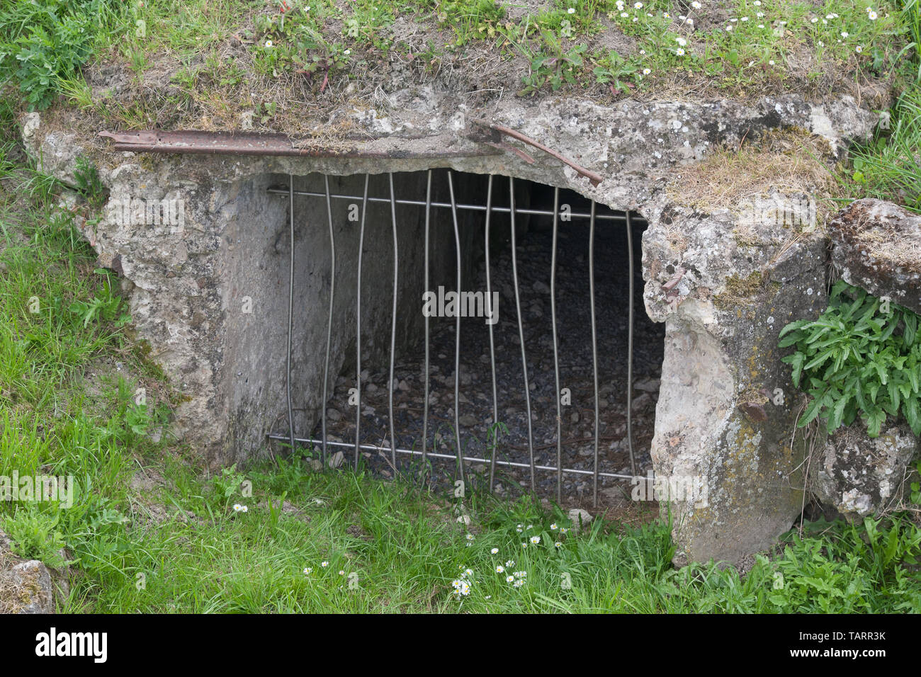 Trench of Death Ypres Ieper Belgium Stock Photo