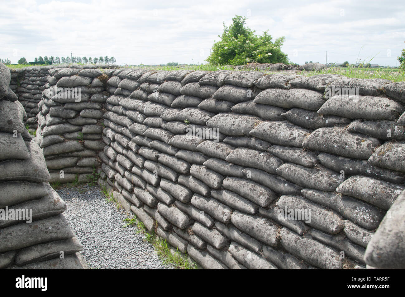Trench of Death Ypres Ieper Belgium Stock Photo