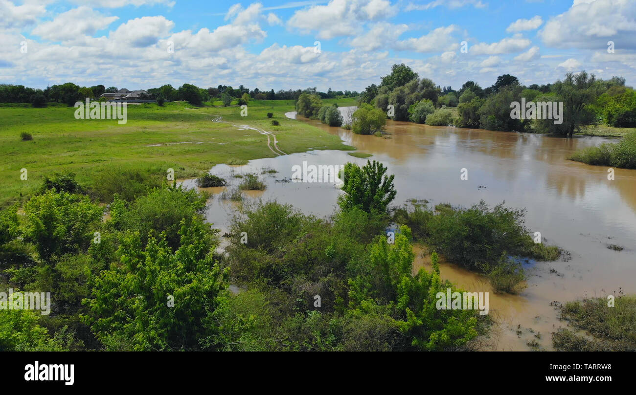 Flood field. Flood field