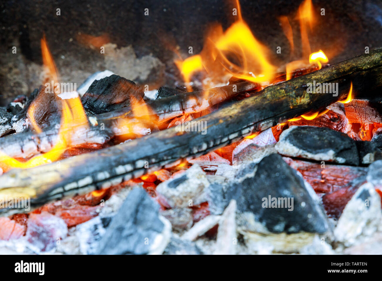 Firewood burning in a brazier on a bright yellow flame a tree, dark