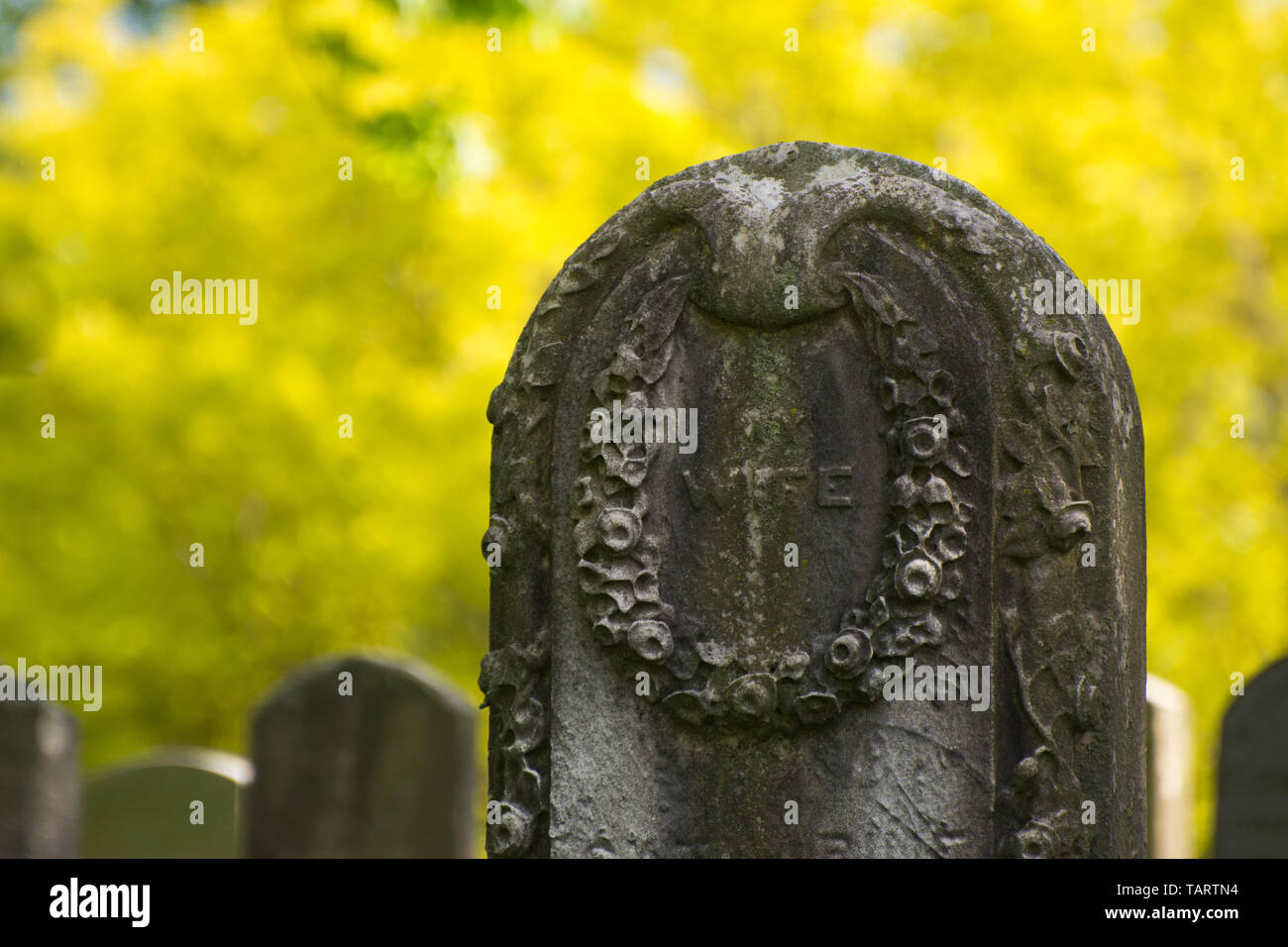 A very old tombstone that says 'Wife' in the Green-Wood Cemetery, Park Slope, Brooklyn, New York, USA Stock Photo