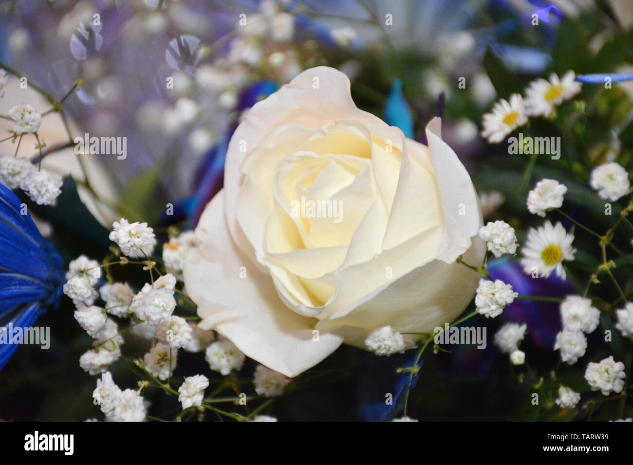 Faux roses hi-res stock photography and images - Alamy