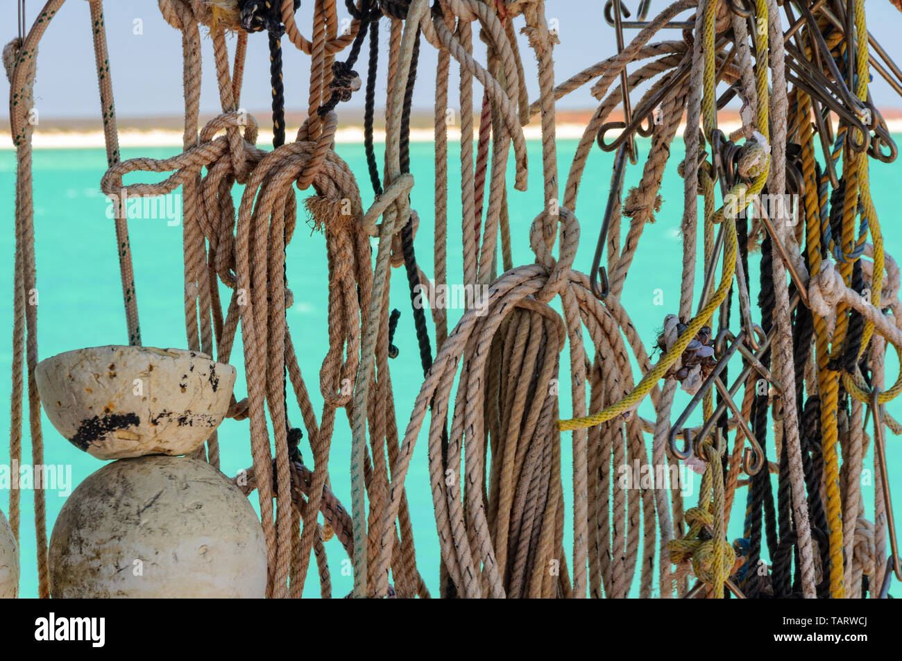 Drying fishing ropes with knots and hooks - Monkey Mia, WA, Australia Stock Photo