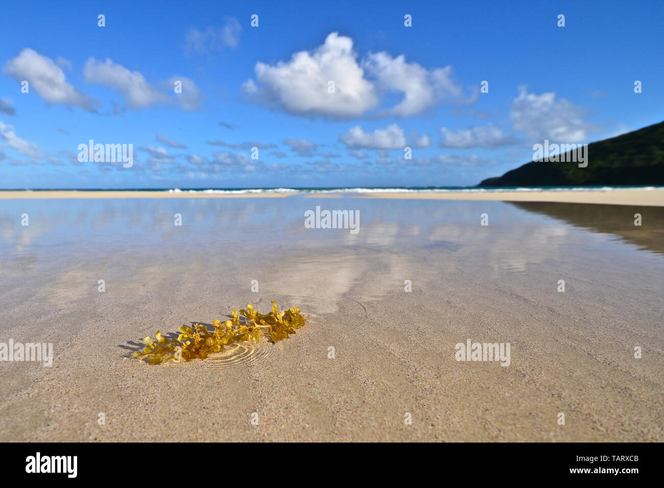Detail of Flamenco Beach in Culebra Island showing sky reflections on the wet beach sand Stock Photo