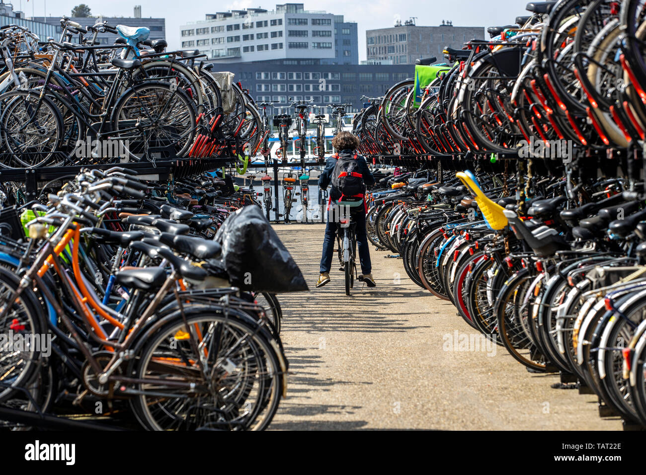 Amsterdam, Netherlands, bicycle parking garage, parking space for bikes at  the central station, for over 2100 bicycles, free of charge, at the river I  Stock Photo - Alamy