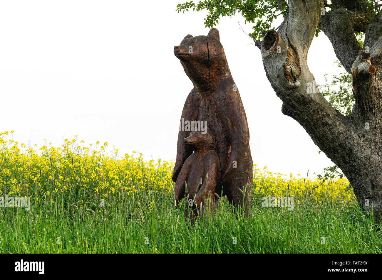 Bear wood carving hires stock photography and images Alamy