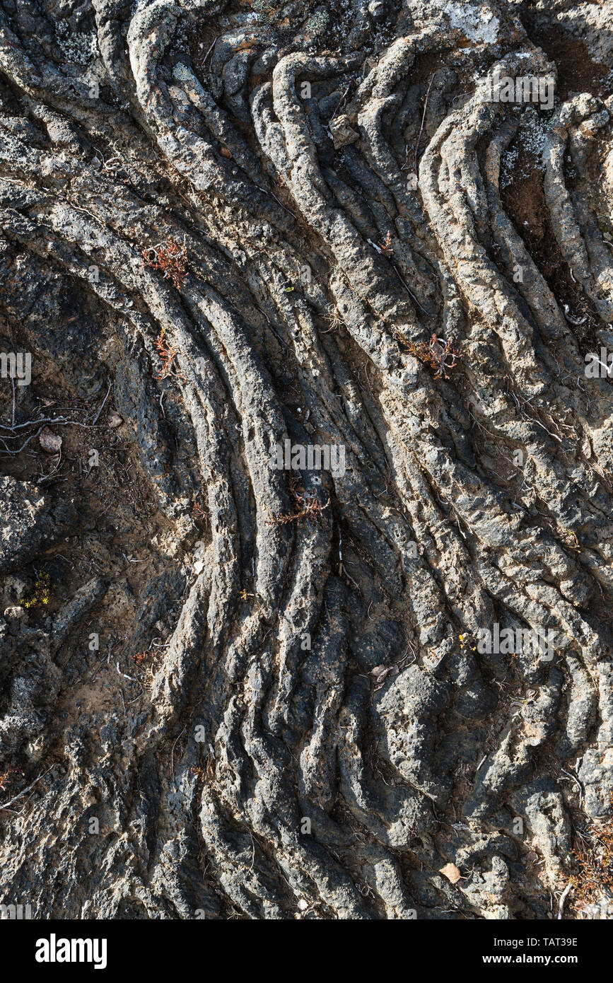 West Iceland. Rope-like patterns of solidified lava (Pahoehoe lava), formed as the lava was flowing slowly Stock Photo