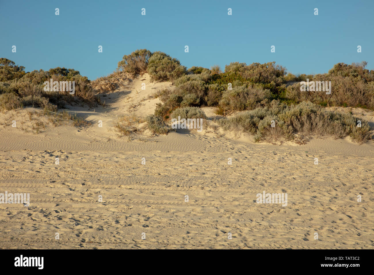Beach and sand dunes with native plants on Mullaloo beach, Joondalup, Perth, Western Australia on a late afternoon before sunset in May. Stock Photo