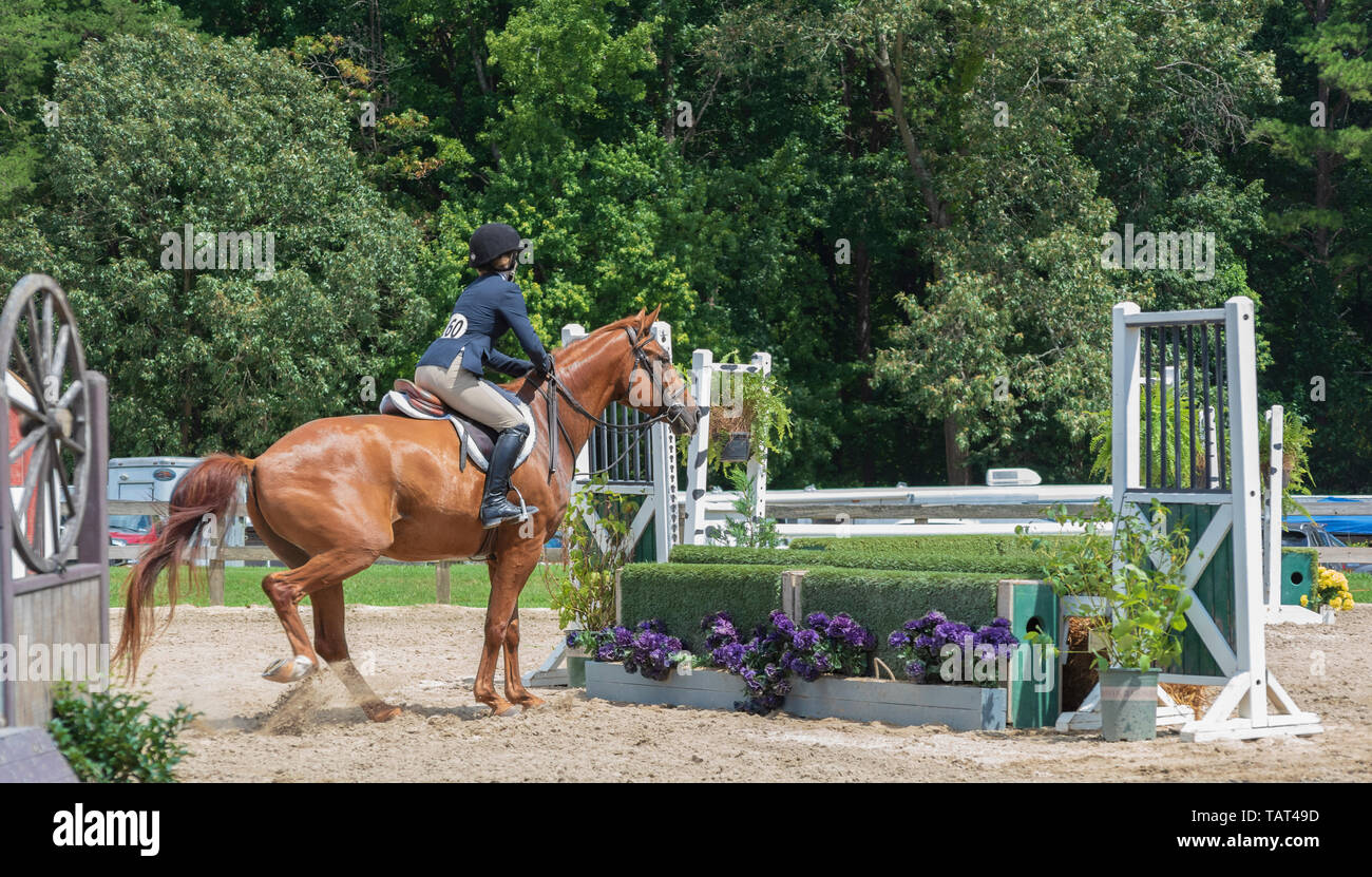 Show Jumping at Sedgefield Showgrounds, NC USA; equestrian show
