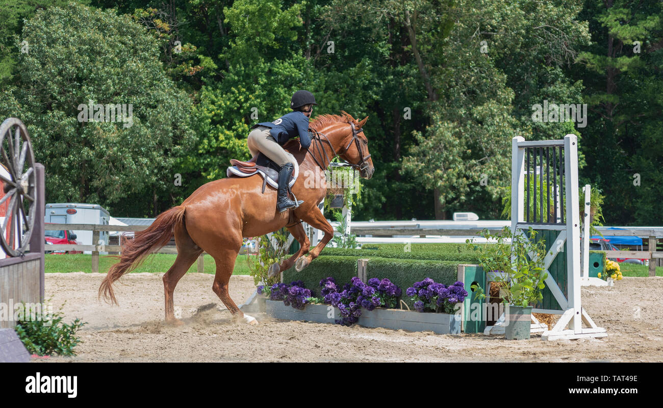 Show Jumping at Sedgefield Showgrounds, NC USA; equestrian show
