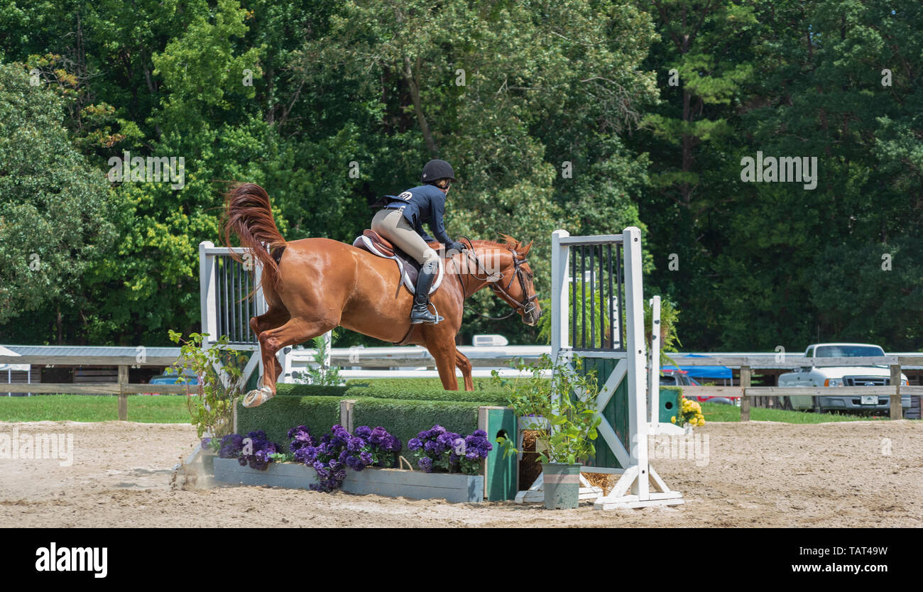 Show Jumping at Sedgefield Showgrounds, NC USA; equestrian show