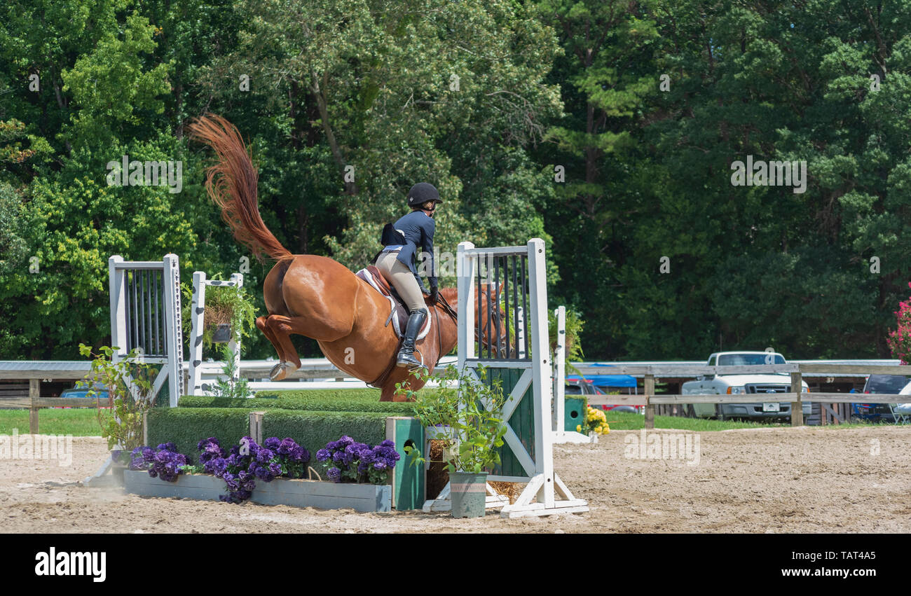 Show Jumping at Sedgefield Showgrounds, NC USA; equestrian show