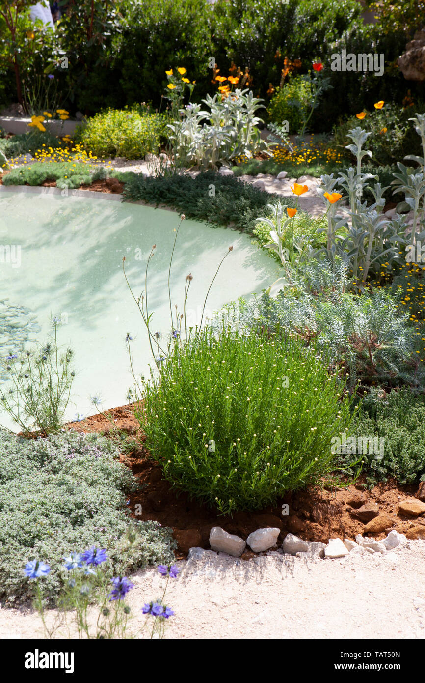 RHS Chelsea Flower Show 2019: the Dubai Majlis Garden designed by Thomas Hoblyn, included drought-tolerant plants, a water feature and adobe retaining walls. Stock Photo