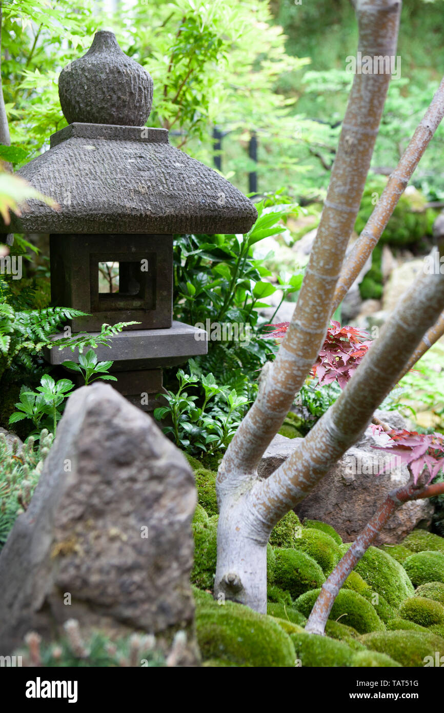 RHS Chelsea Flower Show 2019: the Green Switch garden designed by Japanese designer Kazuyuki Ishihara features a pond, Japanese maples (acers), pines, moss balls, irises, a stone lantern and a tea room. Stock Photo