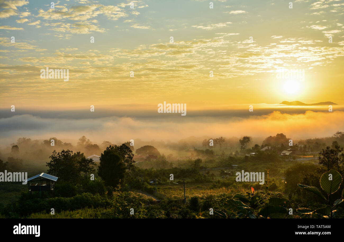 Fog sunrise over winter beautiful morning with misty cover on meadow ...
