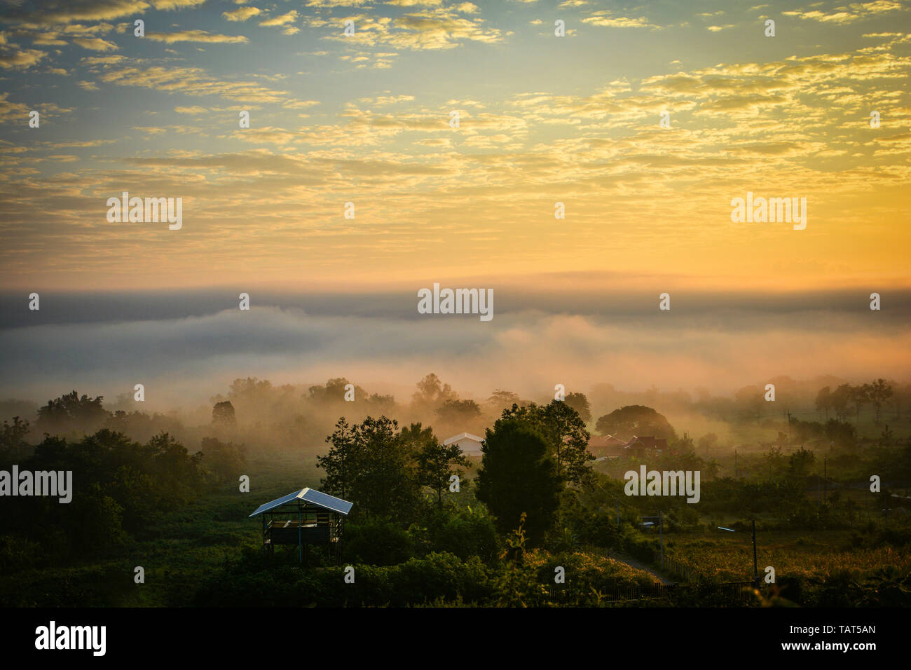 Fog sunrise over winter beautiful morning with misty cover on meadow ...