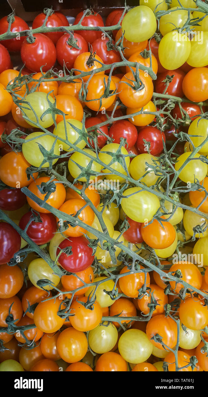 Colorful and fresh cherry tomatoes Stock Photo - Alamy