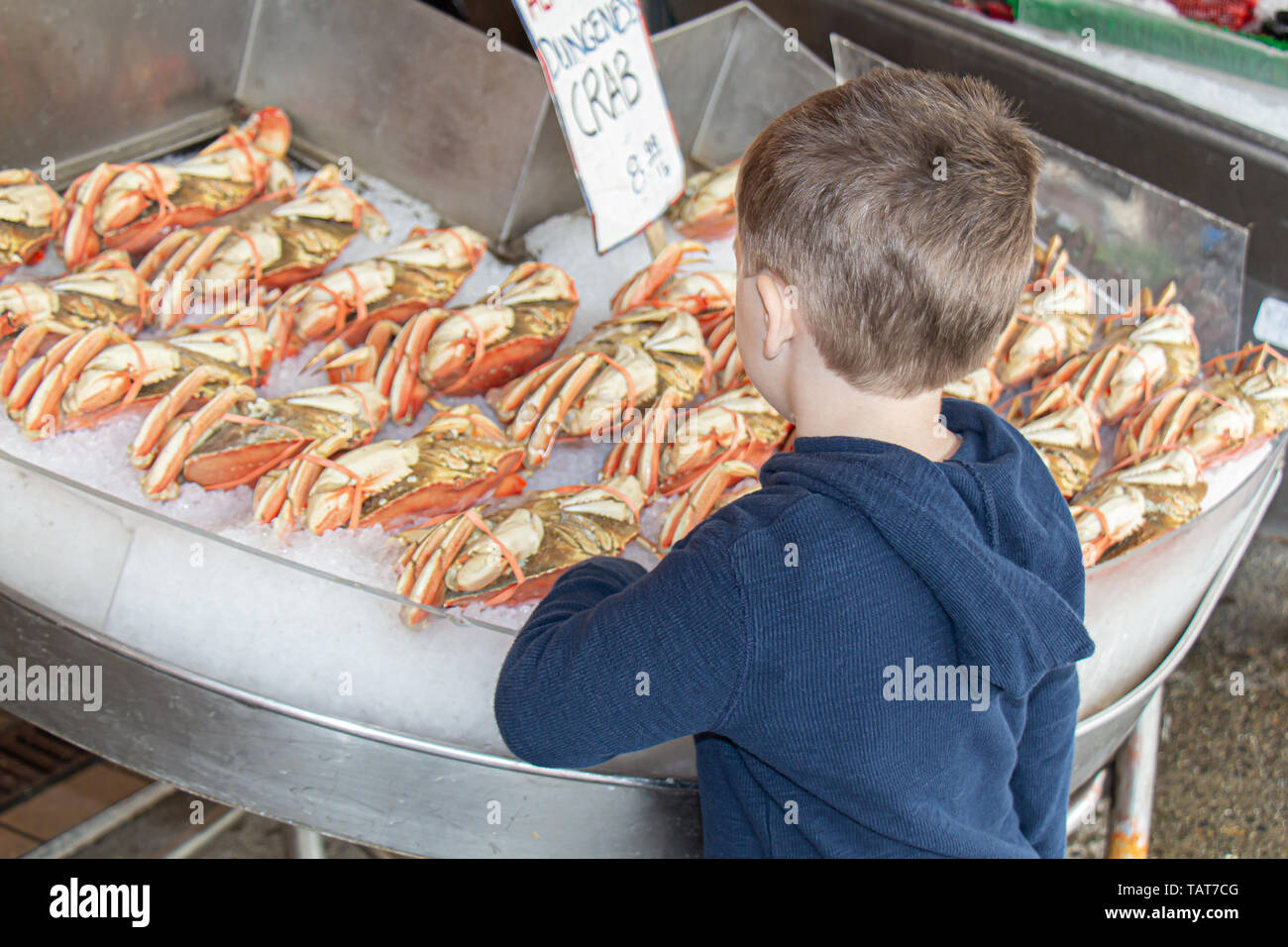 A young boy looks at Dungeness crab for sale at a fish market in Seattle, Washington. Stock Photo