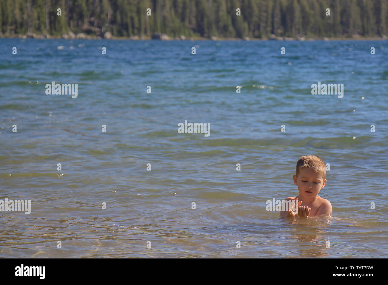 A young boy swims in Tenaya Lake, Yosemite National Park, California, USA. Stock Photo