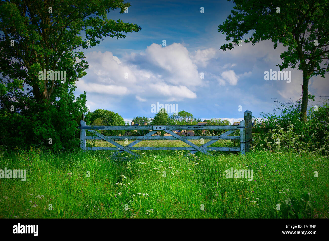 A farm gate amidst a field of wild flowers framed by trees against a backdrop of a fair weather cloudscape. Stock Photo