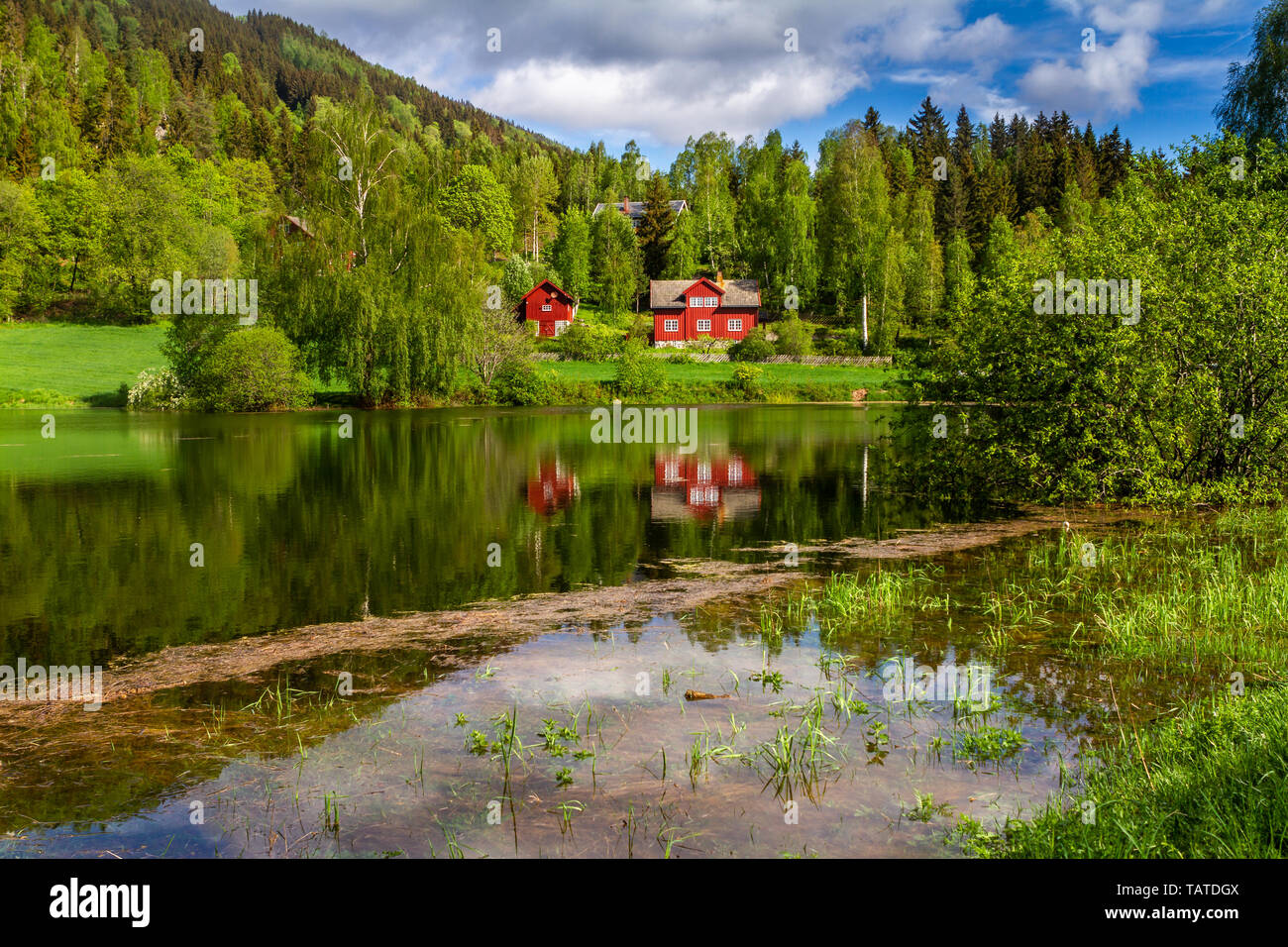 Reflections in Oppland Norway Stock Photo